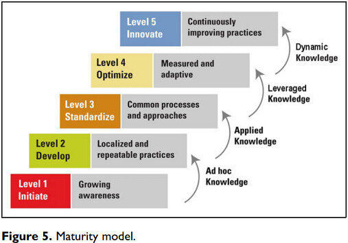 Maturity Model